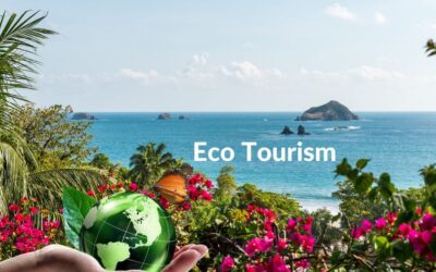 Nature’s Call: Understanding the Rise of Ecotourism
