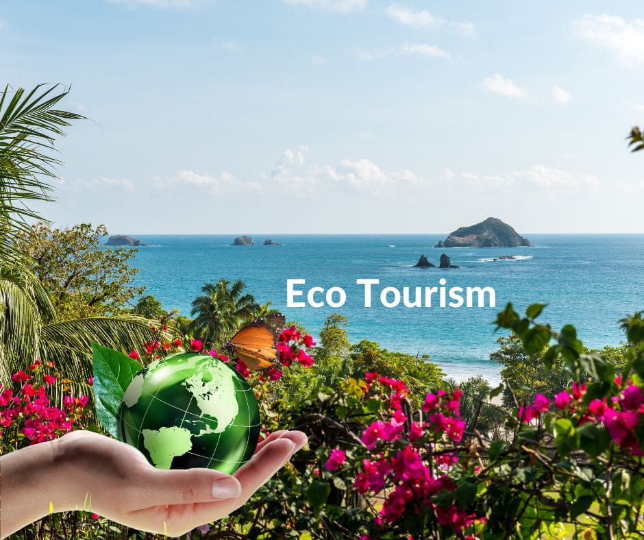 Eco Tourism Eco tourism