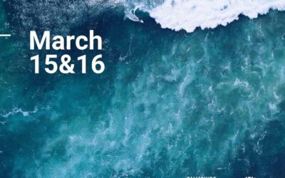 The Tamarindo Film Festival 2024