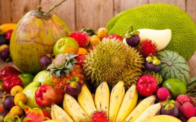 Exploring Costa Rica’s Tropical Fruit Seasons