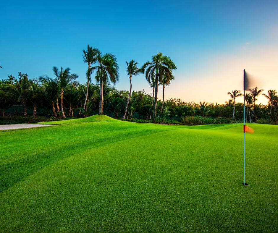 Tropical golf