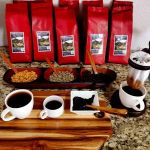 Torunes Coffee
