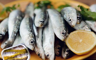 Sardines Unleashed: Savory Recipes and Surprising Health Benefits