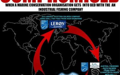 The Hypocritical Charade of the Sea Shepherd Krill Fishery Campaign