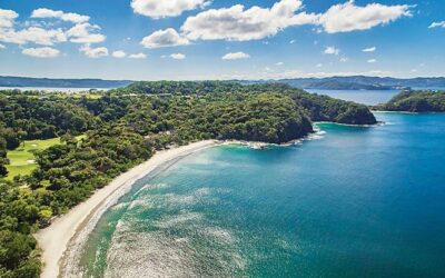 Never Too Late To Choose A Life In Paradise – Tres Amigos