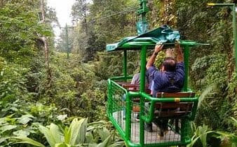 Into the Heart of the Rainforest: Discovering Braulio Carrillo’s Natural Wonders