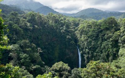 Journey to Monteverde: Culture, Conservation, and the Call of the Wild