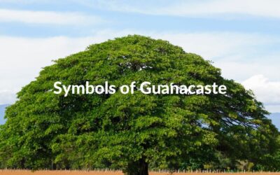 Symbols of Guanacaste: Emblems of Heritage and Pride