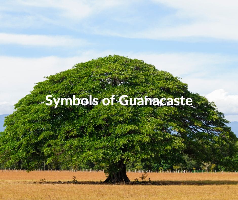 Title (3)