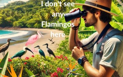 Flamingo or Spoonbill? Exploring the Origins of Flamingo Beach’s Name