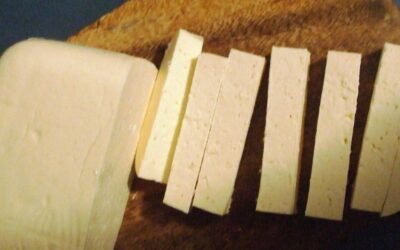 The Diverse Palette of Costa Rican Cheeses: Tradition and Flavor