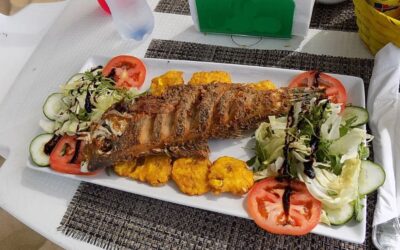 A Culinary Journey Through Costa Rica: Exploring Regional Flavors