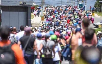 A Journey of Two Million: Faith and Unity on Virgen de Los Angeles Day