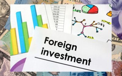 Investment vs. Environment: The Complex Dynamics of Foreign Capital in Costa Rica