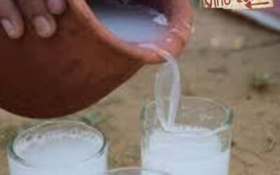 The Traditional Elixir of Costa Rica: Coyol Wine