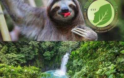 Costa Rica’s Green Commitment: Making Sustainability the Heart of Tourism