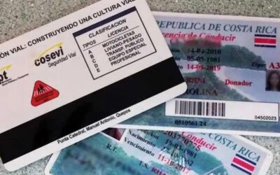 Quatro Legal – Obtaining Your Driver’s License