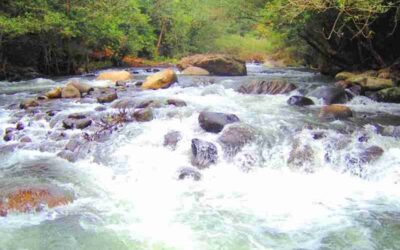 Beautiful riverfront property for sale near Liberia – Colorado River Paradise Farm