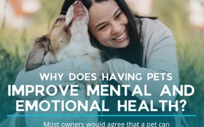 Pets: How They Improve Our Mental and Emotional Health