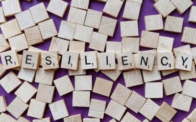A Year of Resilience: How 2024 Shapes a Hopeful 2025
