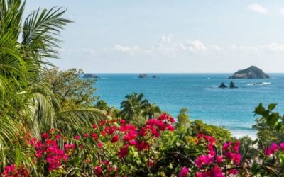 Discover the Hidden Healing Wonders of Costa Rica’s Flora