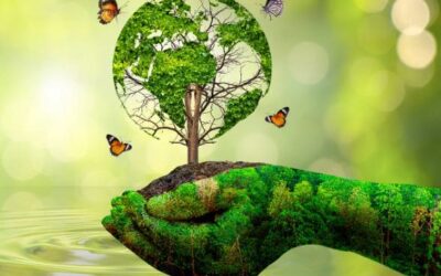 The Call of the Wild: Conservation Experiences in Costa Rica