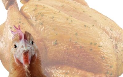 Why Costa Rica Might as Well Be Called “Costa Pollo”: A Look at the National Obsession with Chicken