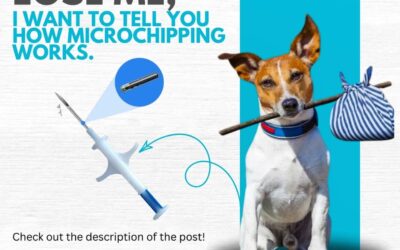 Your Pet’s Chip