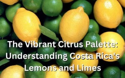 The Vibrant Citrus Palette: Understanding Costa Rica’s Lemons and Limes