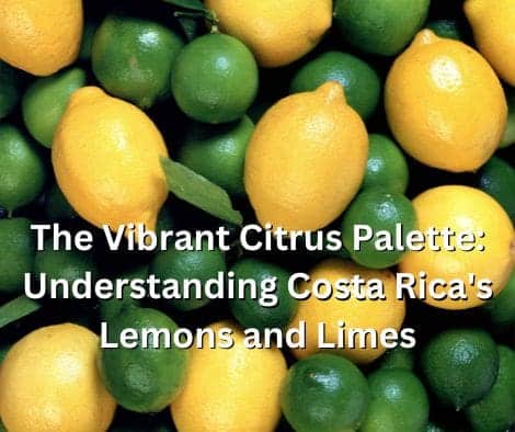 lemons limes
