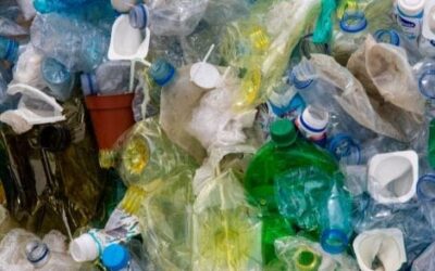 Single-Use Plastic Ban in Costa Rica: Progress or Pretense?