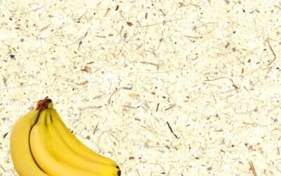 Unfolding the Potential of Banana Paper in Costa Rica: A Green Revolution in the Paper Industry