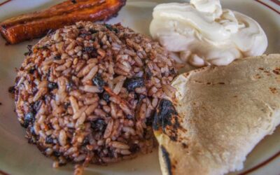 Flavors of Costa Rica: A Culinary Journey Through Its Diverse Regions