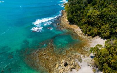 Cool Places – Cahuita: A Walk in the Park  in a Jungle by the Sea