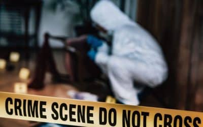 Crime and Public Safety in Costa Rica: A Nation at a Crossroads