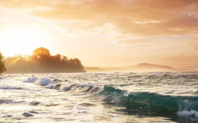 March Madness: Why This Month is Perfect for Surfing in Costa Rica