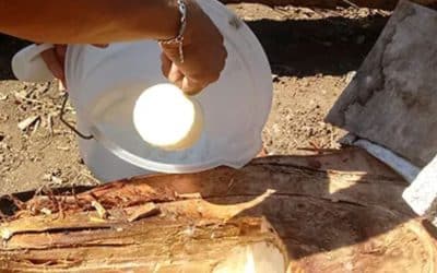 Fermented Favorites: Chicha and Other Traditional Central American Brews