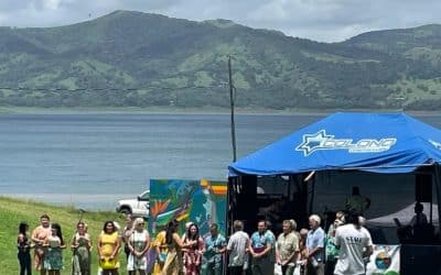 Festival Madre Tierra 2025: Pollinating Knowledge and Cultivating the Future