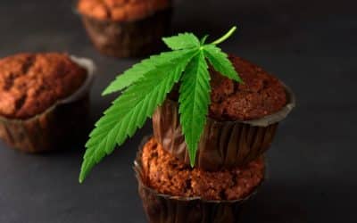 Smoking vs Edibles and the Effects of Marijuana Brownies
