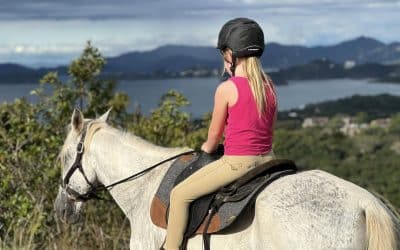 Horseback Riding and Wellness Await at Mirador Equestrian Horse Sanctuary
