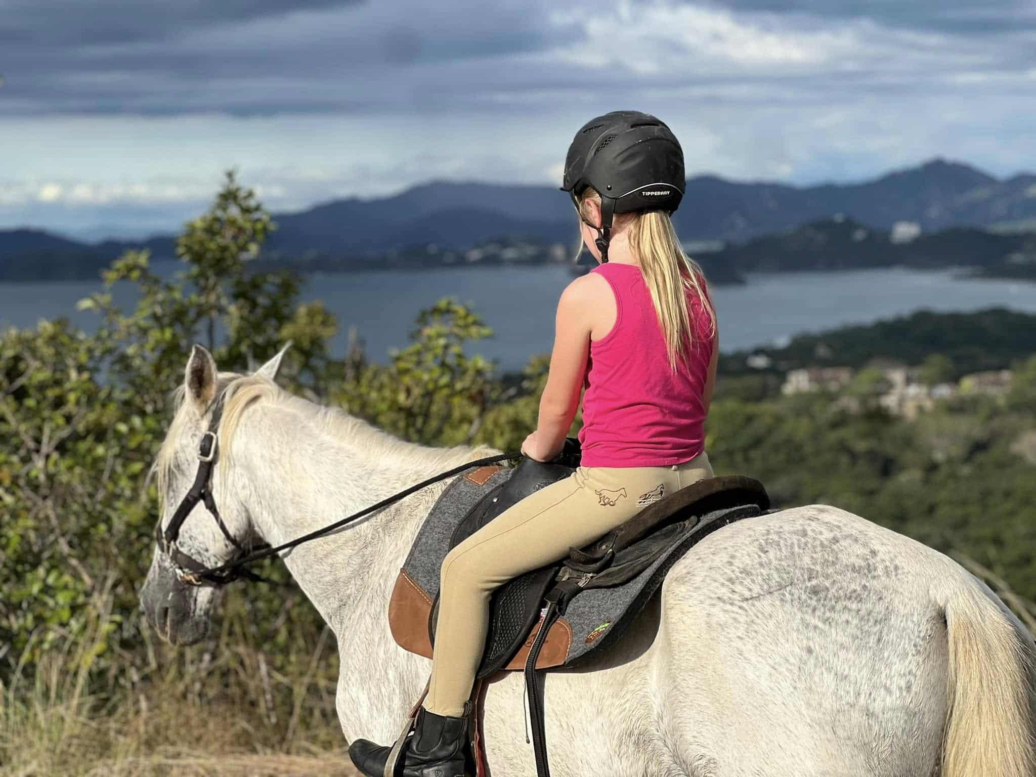horse matapalo 2