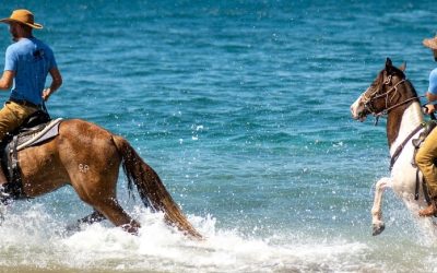 Horseback Adventures That Change Lives in Costa Rica