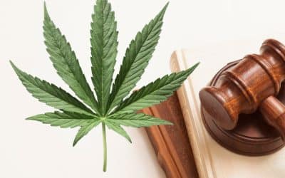What Could Cannabis Legalisation Mean for Costa Rica’s Economy?