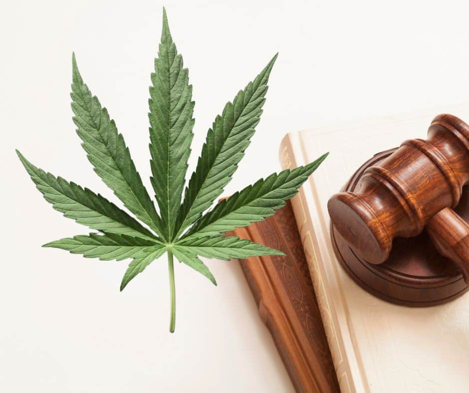 Cannabis legalisation in Costa Rica Cannabis legalisation in Costa Rica Benefits