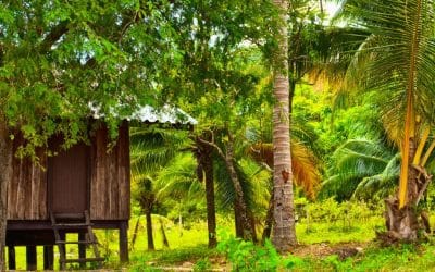 Flipping Fincas: Can You Really Profit from Raw Land?
