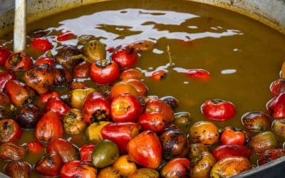 Pejibaye: Costa Rica’s Nutrient-Packed Tropical Treasure