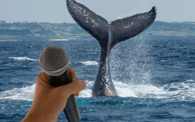 Cracking the Code of Animal Communication with Ai