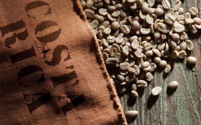 “Coffee and Creativity” – How the Country’s Caffeine Culture Inspires Artists and Writers