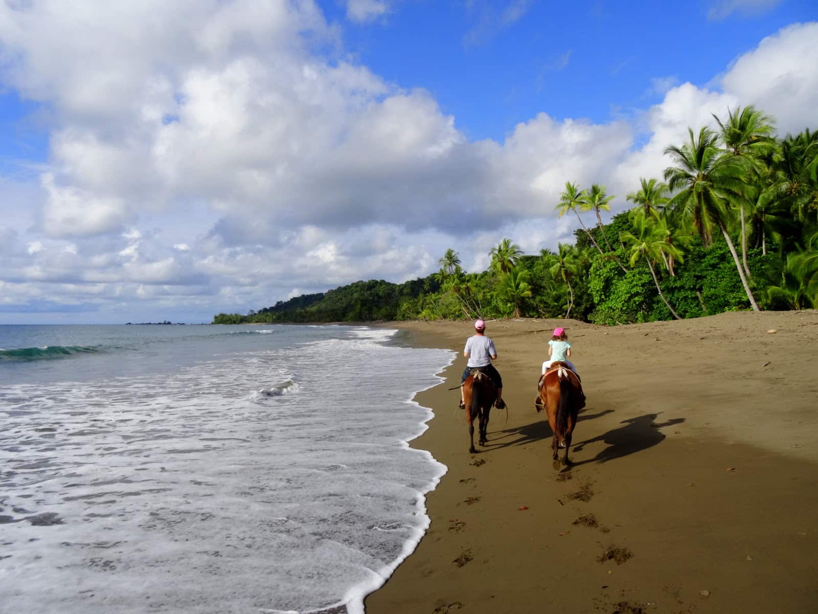 Horseback Riding on a Costa Rican Beach Two horseback riders travel along a tropical beach in Costa Rica, with lush palm trees and gentle waves under a bright blue sky.