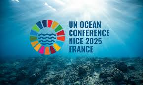 Captain Paul Watson on the Urgent Mission of the UN Ocean Conference 2025